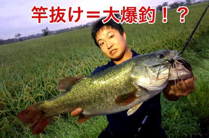 バス釣り