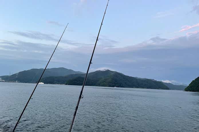 ハモのポイント