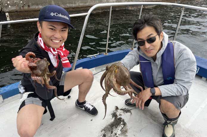 東京湾のタコの釣果