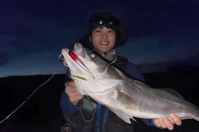 スーサンで釣ったシーバス