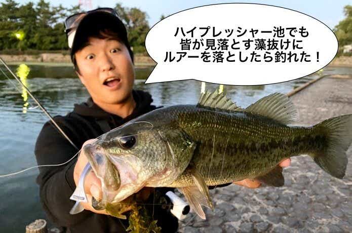 バス釣り