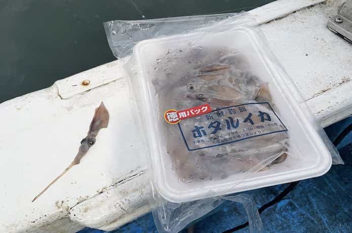 アカムツ釣りのエサ