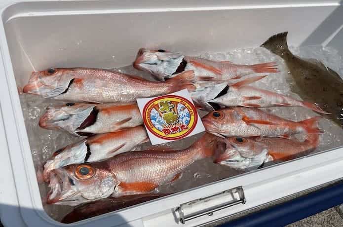 アカムツ釣りの釣果