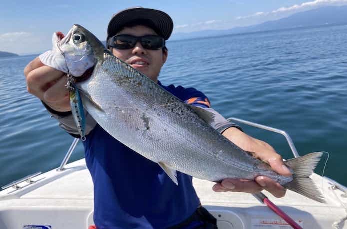 ビワマスジギングの釣果