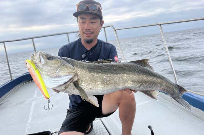 東京湾シーバスの釣果