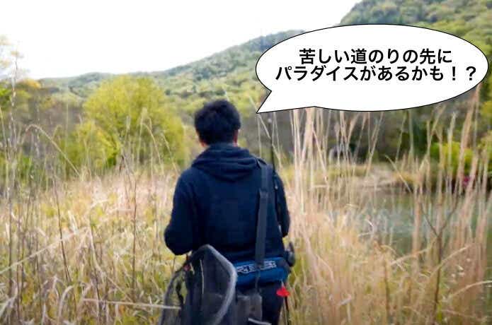 藪こぎの先にあるポイント
