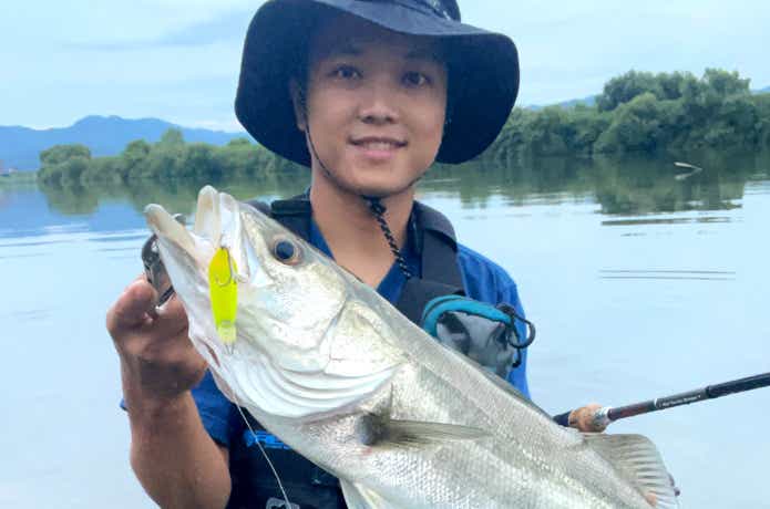 ローリングベイトシャッドの釣果