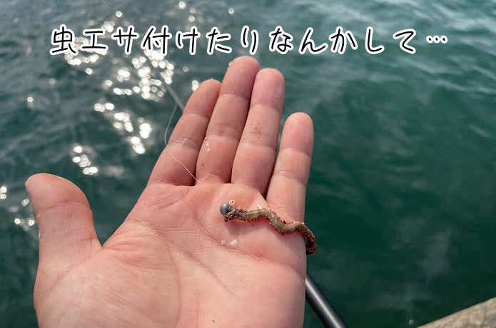 ムシ餌つけてもOK