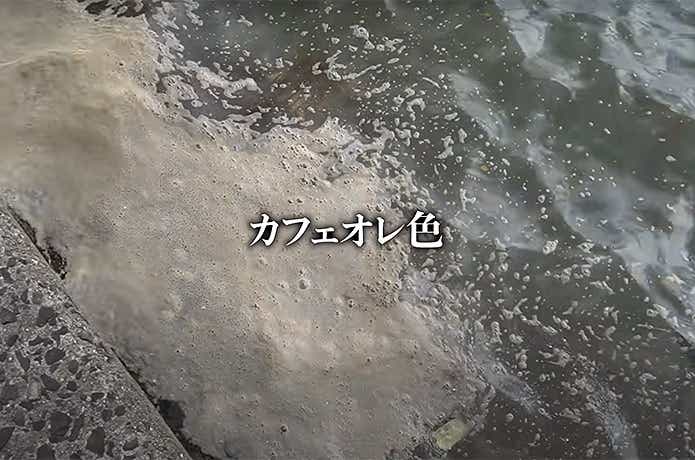 濁った海