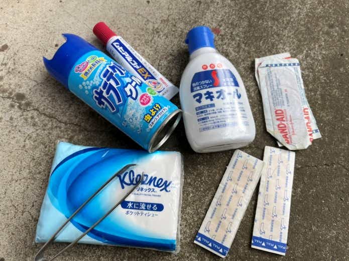 磯遊びに用意しておきたいもの