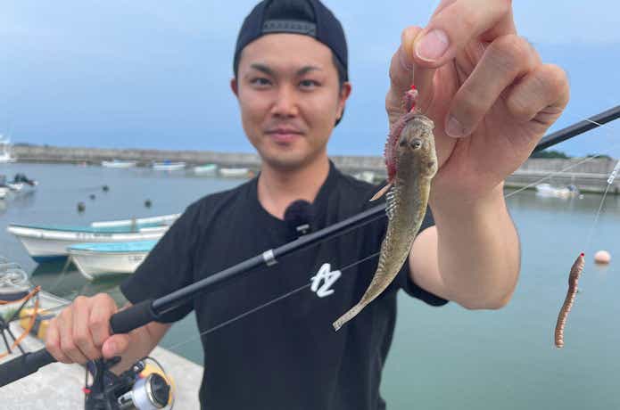  ダイソー釣具でハゼ釣り