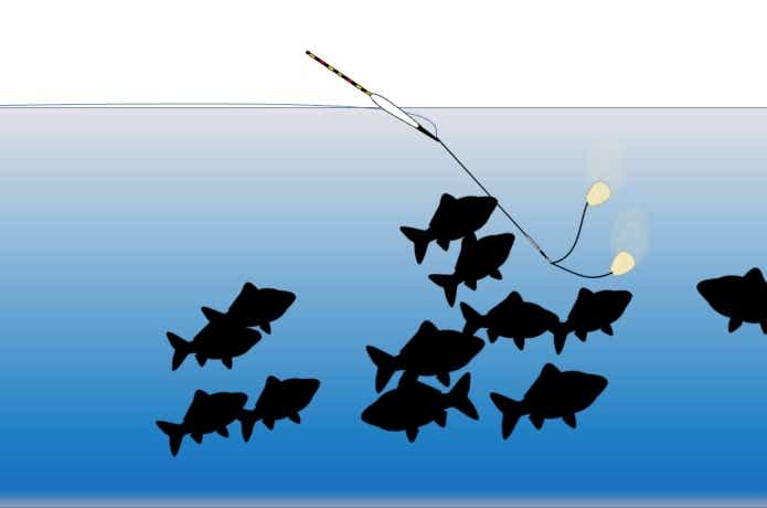 ヘラブナ釣り水中イメージ
