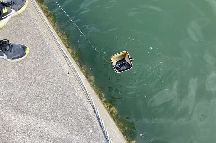 ダイソーの活かし水汲みバケツ