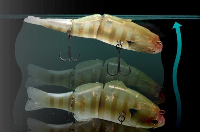 まさに瀕死ギル】ジャッカルからチビタレルデッドライズが登場！ | 【TSURI HACK】日本最大級の釣りマガジン - 釣りハック