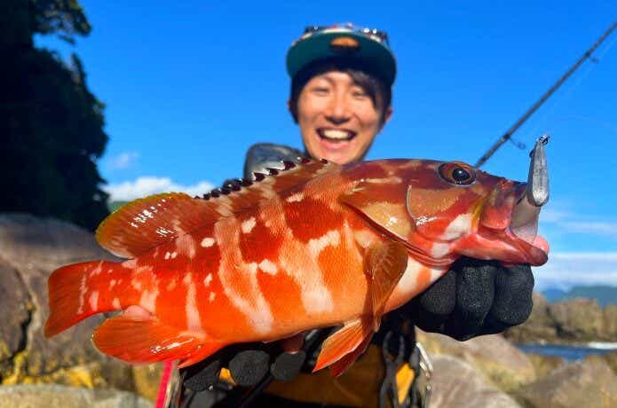 ライブスクイッドで釣ったロックフィッシュ