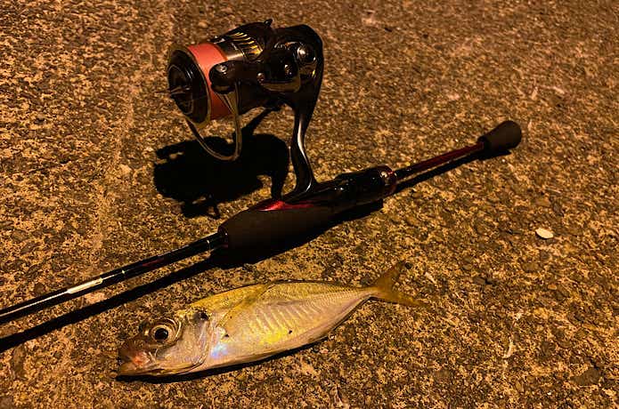 月下美人EX 510UL-S・Q で釣ったアジ