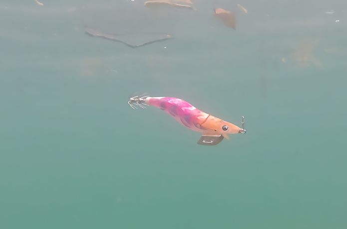 海中のエギ王Kネオンブライト