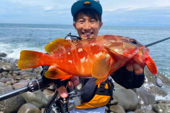 スタッガーオリジナル ソルトカラーで釣ったアカハタ