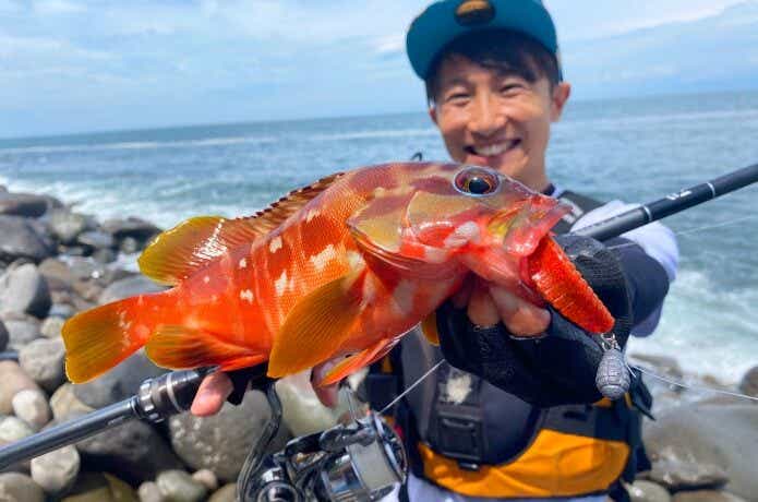 スタッガーオリジナル ソルトカラーで釣ったアカハタ