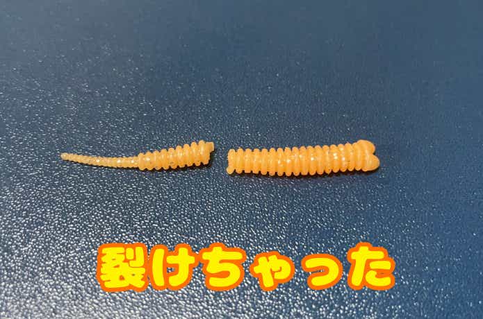 切れたアジアダー
