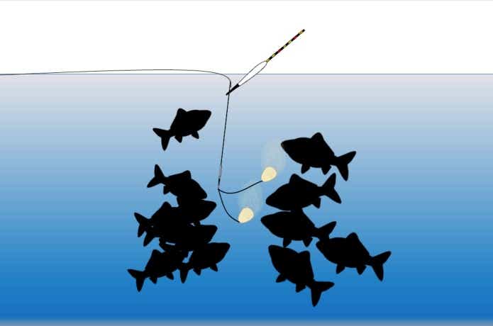 ヘラブナ釣り水中イメージ