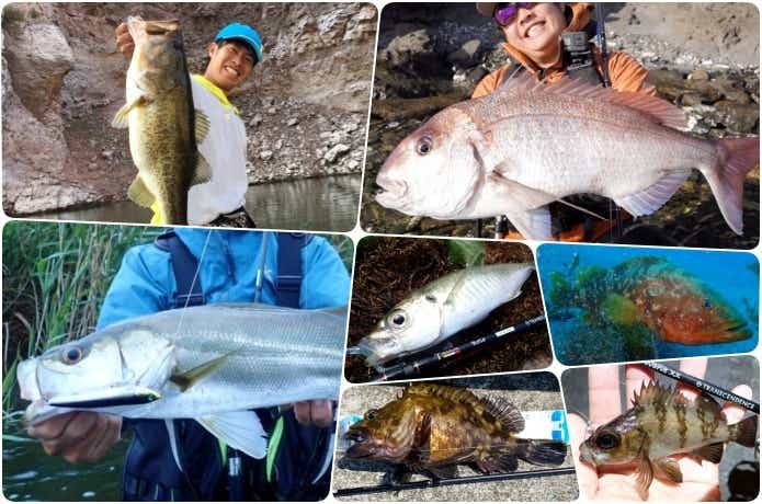 魚の成熟年齢と寿命