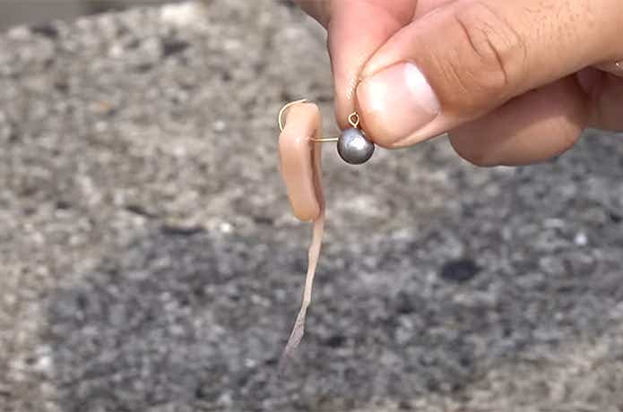 ジグヘッドに刺したイカの塩辛