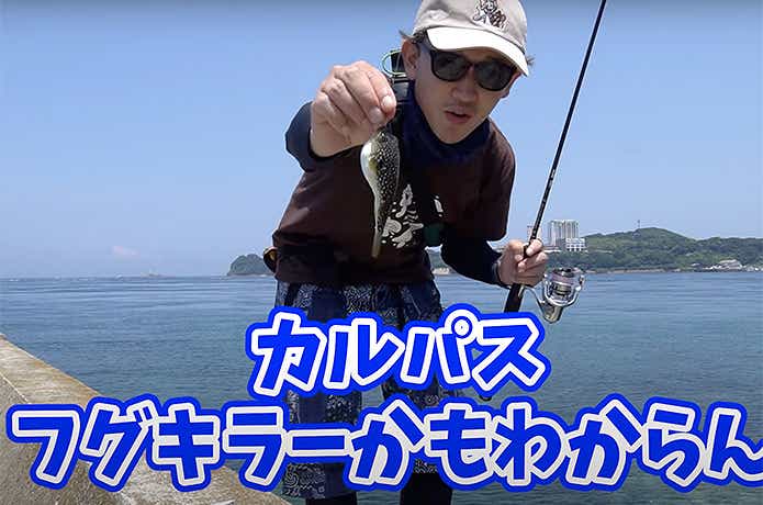 カルパスで釣ったフグ
