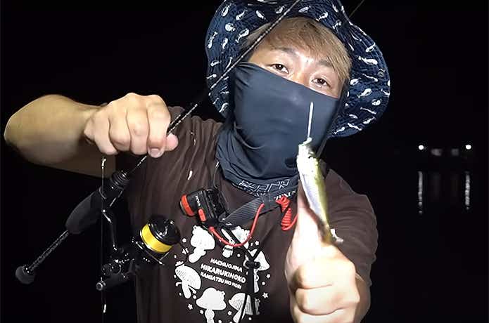 親指サイズの豆アジ