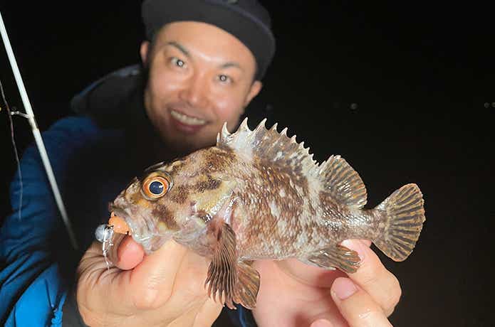 ガルプイソメとムラソイ