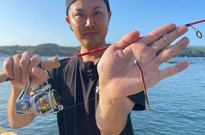 ガルプイソメで実釣