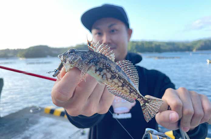 ガルプイソメとアサヒアナハゼ
