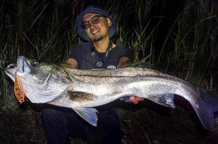ハク・イナッコパターンで釣れたシーバス