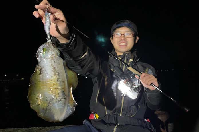 アオリーQ3Dで釣ったアオリイカ