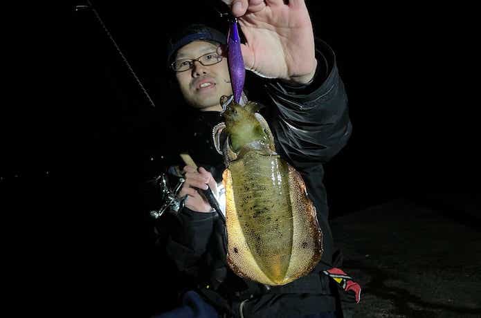 ショアティップランの釣果