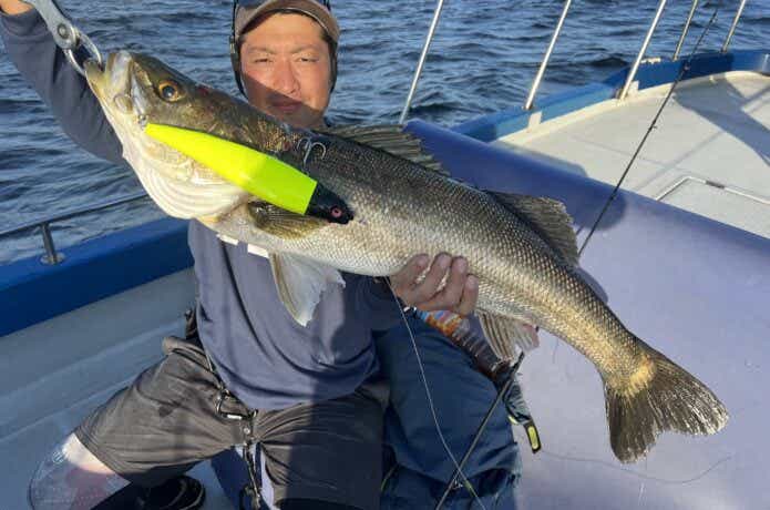 ビッグベイトで釣れたシーバス