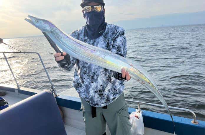 東京湾タチウオの釣果