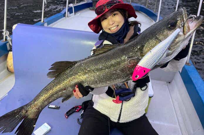 東京湾シーバスの釣果