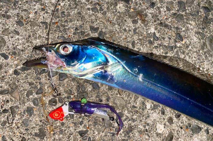 メタルジグに小魚を巻きつけてみた結果…… | 【TSURI HACK】日本最大級