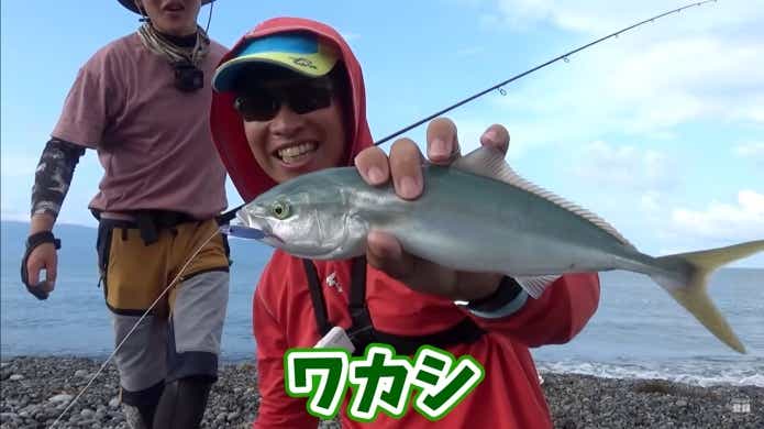 ワカシ釣り