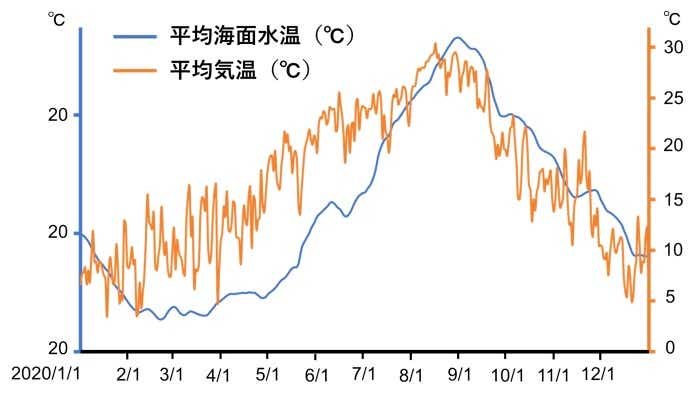 11月の気温と海面水温