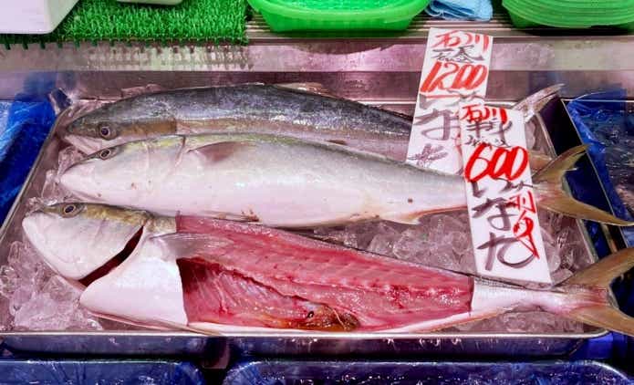 魚屋のイナダ