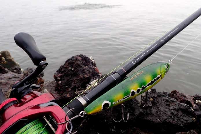 秋の魚釣り