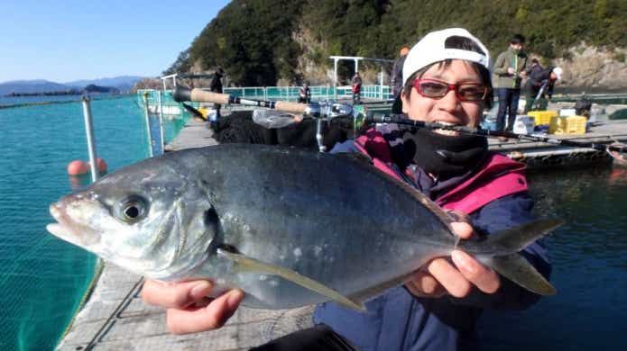 海上釣り堀シマアジ