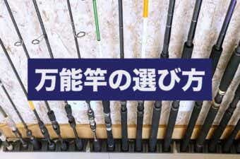 おすすめの万能ロッド20選！釣竿選びの基礎をわかりやすく解説