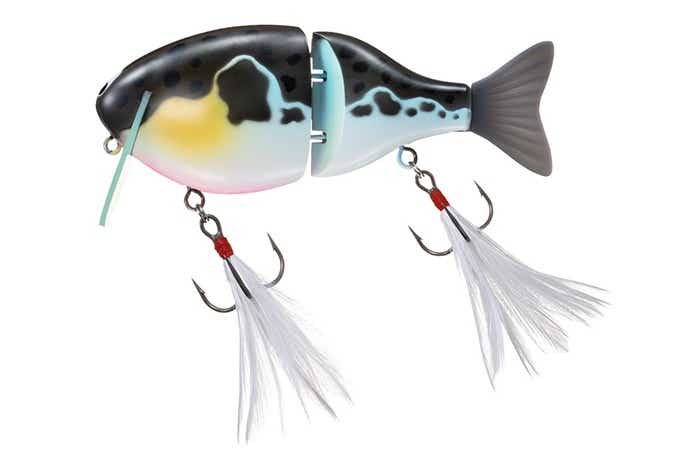 ダイワ ふく魚