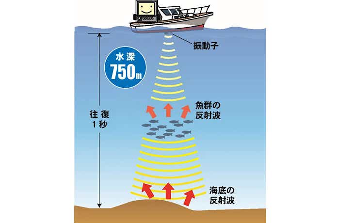 魚探の仕組み