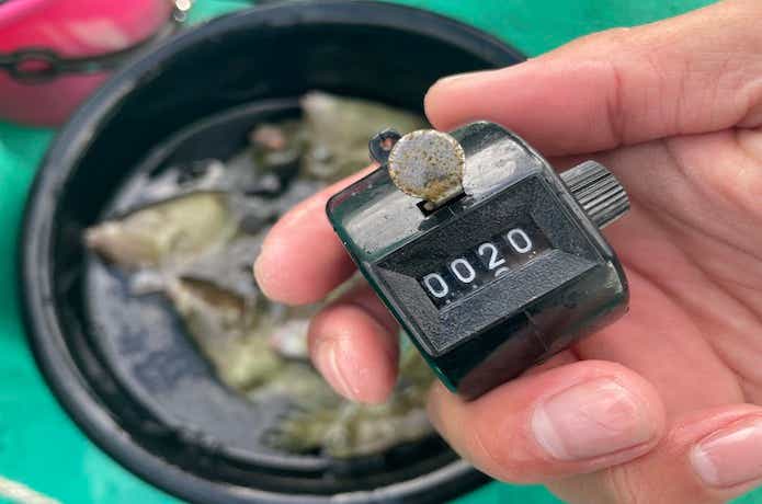 カワハギ20枚目の釣果