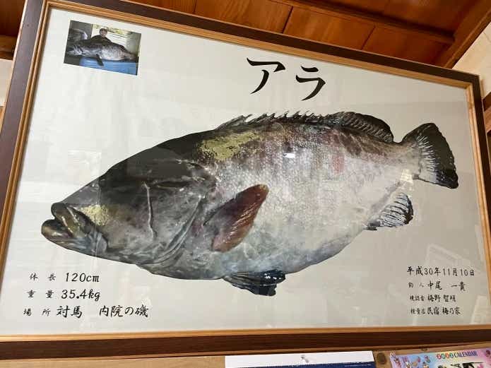 クエ（アラ）
