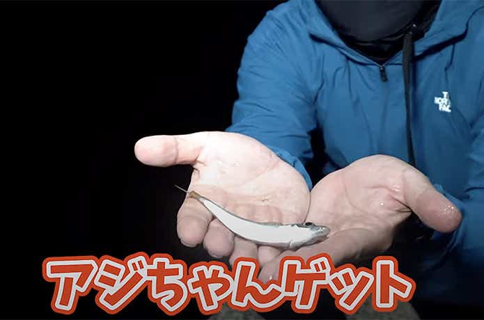 ゲットしたアジ